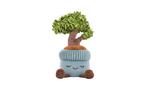 Peluche Jazwares Greenhouse by Russ 30 cm Green Bonsai Tree